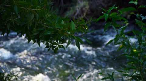 Turbulent stream 4K Stock Footage 34166782