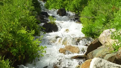 A turbulent stream among rocks: a waterfall framed by wild greenery 库存影片 342713730