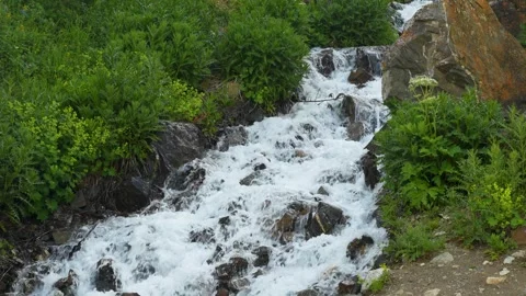 A turbulent stream among rocks: a waterfall framed by wild greenery 库存影片 342713895