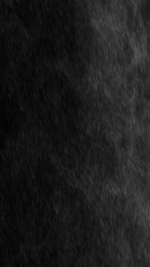 Turbulent Upward Wind Storm Effect on Black Background in Vertical Video Stock Footage 345372479