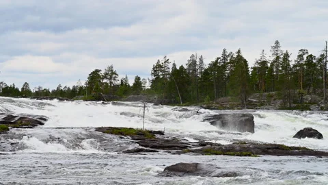 Turbulent Whitewater Rushing Through the Pite River Stock Footage 245820896