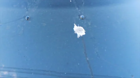 Turd emblazoned on the black car Stock Footage 68617321