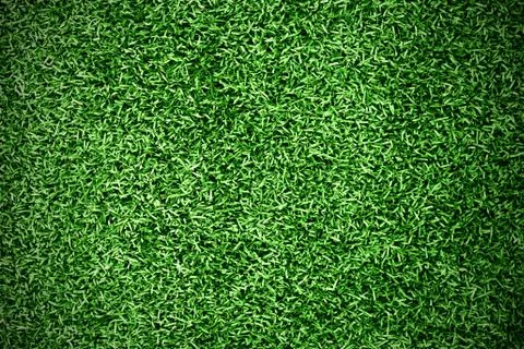 Turf grass background Stock Photos