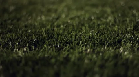 Turf Grass at Night Dolly 스톡 동영상 9034229
