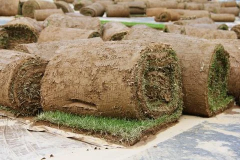 Turf grass rolls Stock Photos