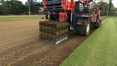 Turf pallet Stock Footage 107981735