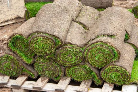 Turf on pallets Stock Photos