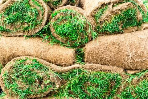 Turf Stock Photos