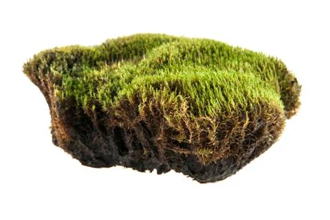 Turf Stock Photos
