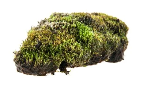 Turf Stock Photos