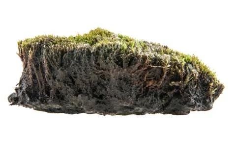 Turf Stock Photos