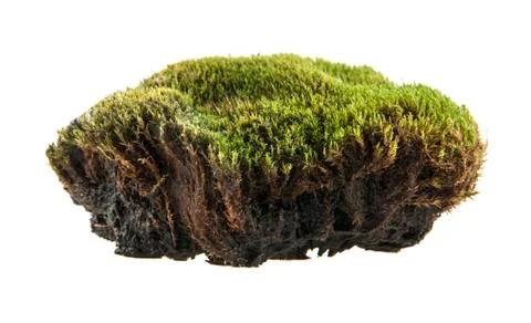 Turf Stock Photos