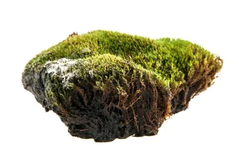 Turf Stock Photos