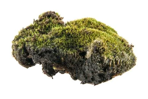Turf Stock Photos
