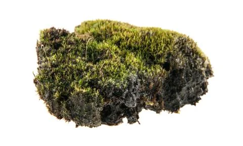 Turf Stock Photos