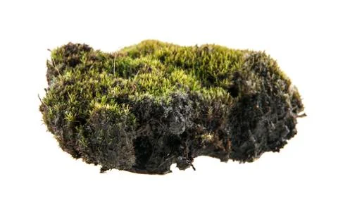 Turf Stock Photos