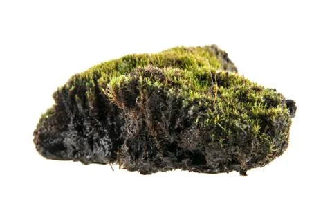 Turf Stock Photos