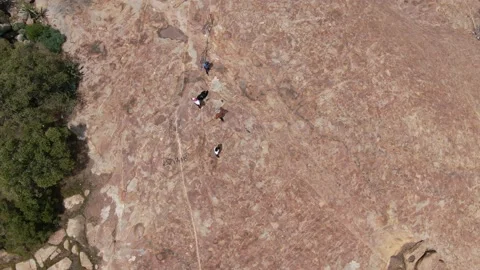 Turfloop Campus Hill Video stock 159420528