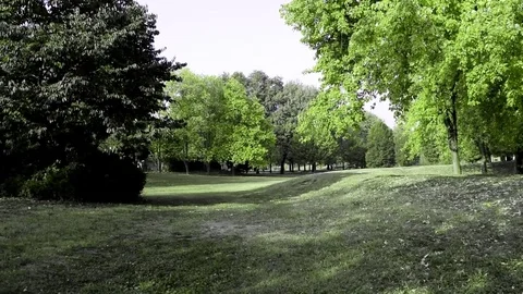 Turin park Stock Footage 81122335