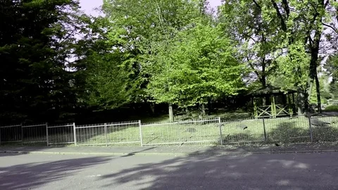 Turin park Stock Footage 81122345