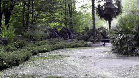 Turin park Stock Footage 81122352