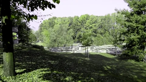 Turin park Stock Footage 81122367
