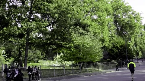 Turin park Stock Footage 81122379