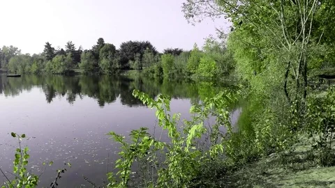 Turin park Stock Footage 81122400