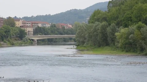 Turin, Po river Stock Footage 79800759