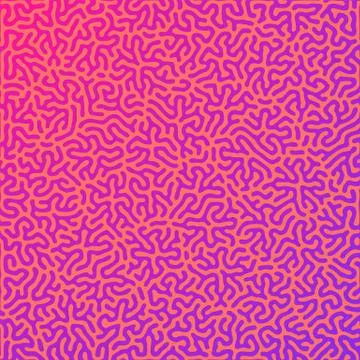 Turing morphogenesis reaction diffusion pattern. Illustrazione stock