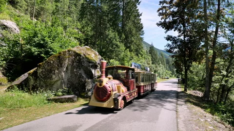 Turistic Park Train Stock Footage 168063693