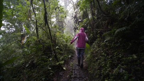 Turists group in jungle Stock-Footage 79095336