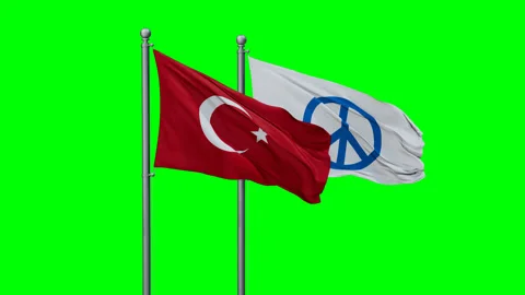 Turkey and Peace two flags Stock Footage 289663510