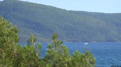 Turkey background Stock Footage 41000939