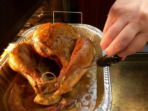 Turkey baking in oven Stock Photos