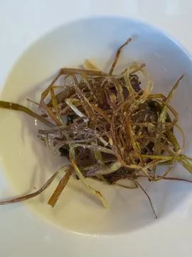 Turkey, Belek: Crispy fried leeks appetizer serving gourmet dining experience Stock Photos