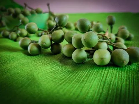 TURKEY BERRY Stock Photos