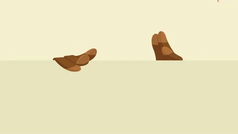 Turkey Bird Cartoon Character Over A Happy Thanksgiving Sign Stock Footage 138317150