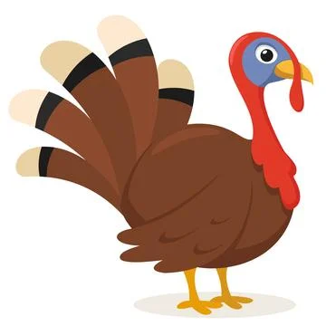 Turkey bird with fluffy tail on a white background. Thanksgiving character Illustration
