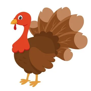 Turkey bird with fluffy tail on white background. Thanksgiving Day Illustration