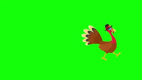 Turkey bird in hat walks and turns around. Thanksgiving Stock Footage 282525466