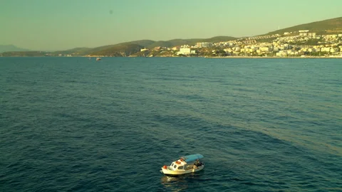 Turkey Bird Island Vídeo Stock 248852074
