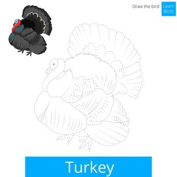 Turkey bird learn to draw vector Stock Illustration
