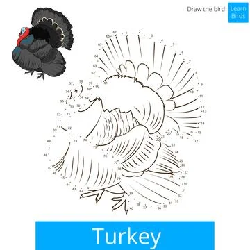 Turkey bird learn to draw vector Stock Illustration