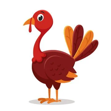 Turkey bird with multi-colored tail stands on a white. Thanksgiving day Illustration