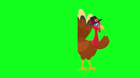Turkey bird peeking out and waving wing animation on a green background. Thanksg Stock Footage 284437232