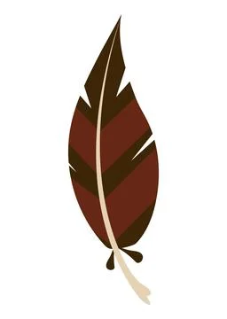 Turkey brown feather Illustration