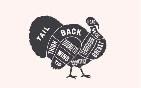 Turkey. Butcher guide scheme Stock Illustration