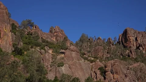 Turkey buzzards, Giant boulder cliffs and blue sky Stock Footage 241355380