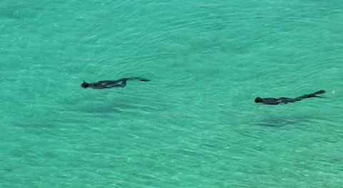 Turkey, Fethiye 2009. Divers float on emerald surface of Mediterranean Sea. Video stock 158735347
